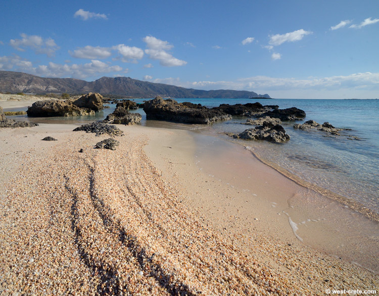 Shells at Elafonisi beach - click on the image to enlarge