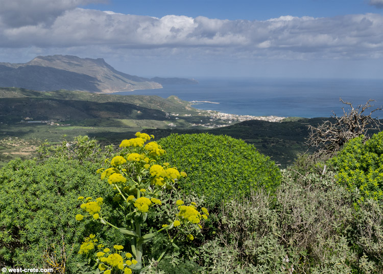 The bay of Kissamos from the acropolis of Polyrinia -  click on the image to enlarge