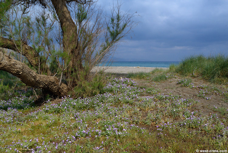 Gerani beach -  click on the image to enlarge