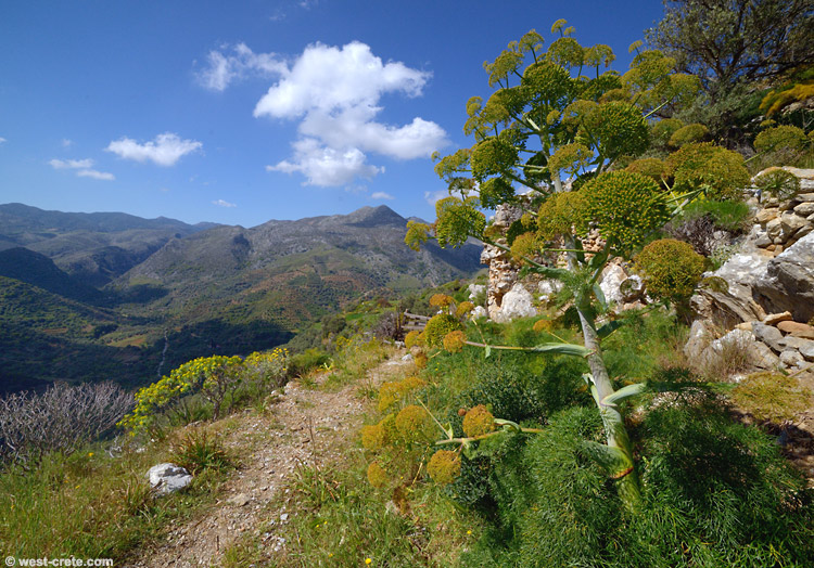 On the way to the acropolis of Polyrinia -  click on the image to enlarge