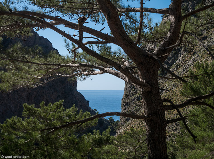 Above Agia Roumeli -  click on the image to enlarge