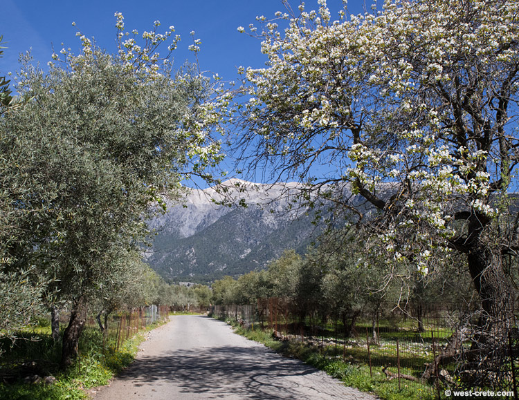 Spring in Anopolis -  click on the image to enlarge