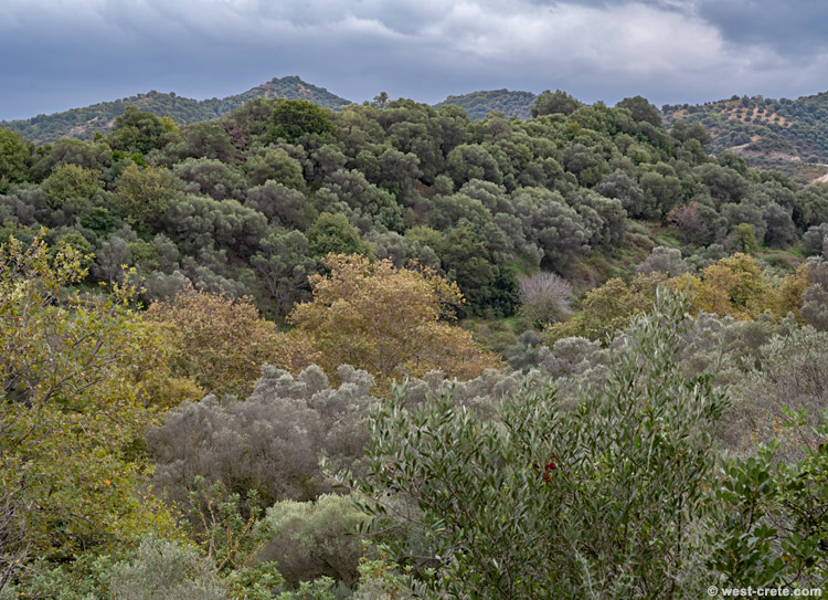 The hills in my backyard - click on the image to enlarge The hills in my backyard - click on the image to enlarge