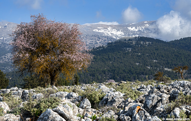 Near Agios Ioannis - click on the image to enlarge Near Agios Ioannis - click on the image to enlarge