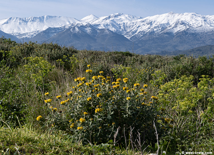 View of the White Mountains from Aptera - click on the image to enlarge View of the White Mountains from Aptera - click on the image to enlarge