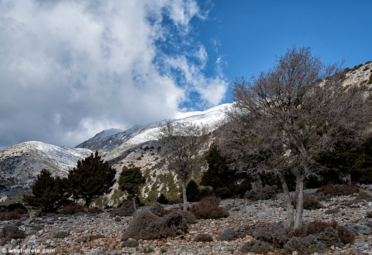 A fresh dusting of snow - click on the image to enlarge A fresh dusting of snow - click on the image to enlarge