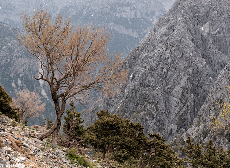 Spring in the mountains - click on the image to enlarge Spring in the mountains - click on the image to enlarge