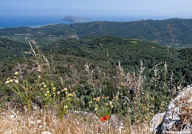 Platanias and Thodorou island - click on the image to enlarge Platanias and Thodorou island - click on the image to enlarge