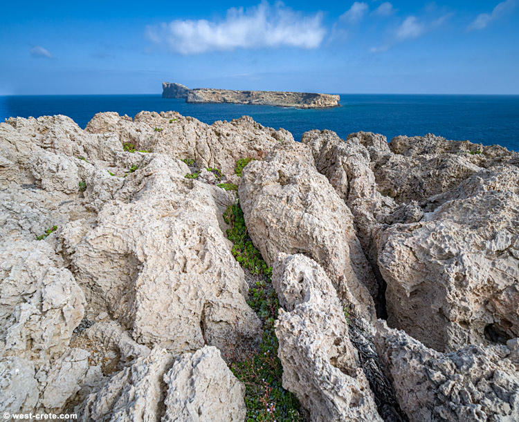Agria Gramvousa - click on the image to enlarge Agria Gramvousa - click on the image to enlarge