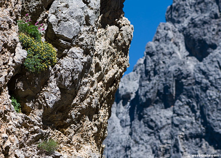 On the way to Gingilos - click on the image to enlarge On the way to Gingilos - click on the image to enlarge