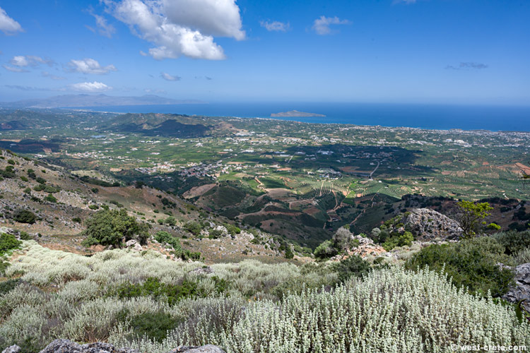 View of Chania from the hill of Kastellos - click on the image to enlarge View of Chania from the hill of Kastellos - click on the image to enlarge