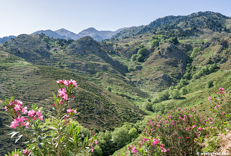 Old terraces in the hills - click on the image to enlarge Old terraces in the hills - click on the image to enlarge