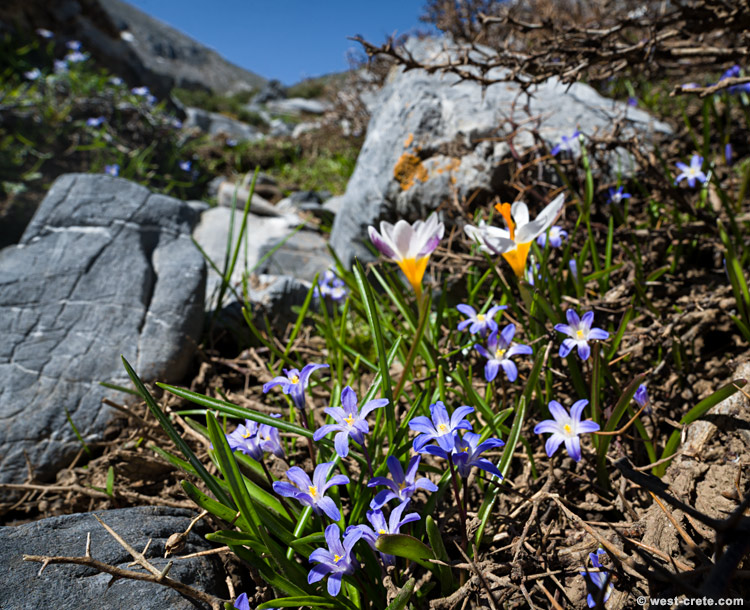 A last corner of spring in the mountains - click on the image to enlarge A last corner of spring in the mountains - click on the image to enlarge