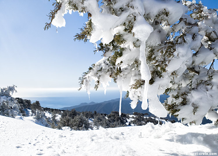 And now to cool off a little... - click on the image to enlarge And now to cool off a little... - click on the image to enlarge