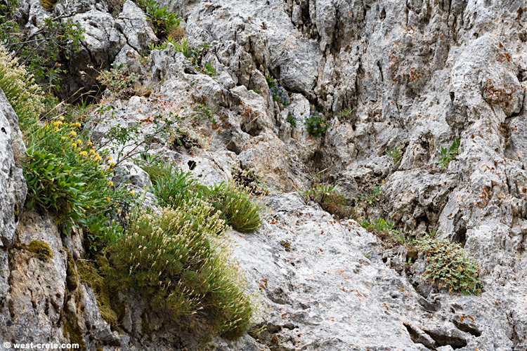 Mountain cliff - click on the image to enlarge Mountain cliff - click on the image to enlarge