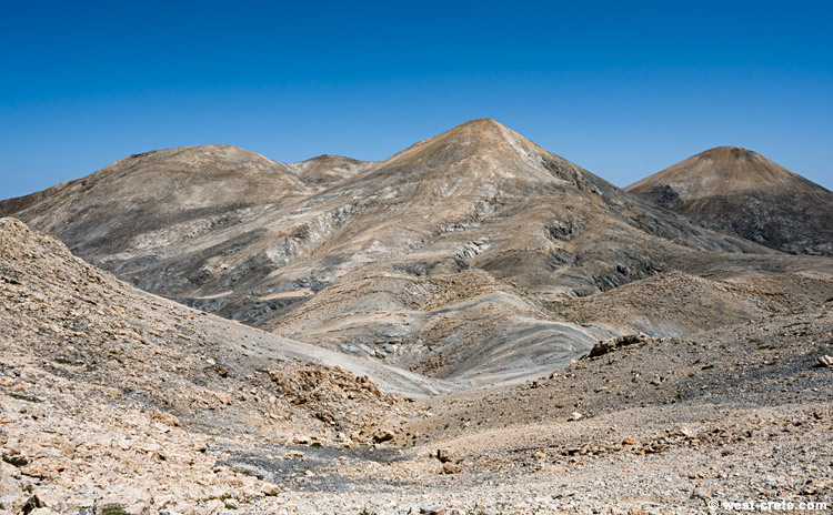 In the High Desert - click on the image to enlarge In the High Desert - click on the image to enlarge