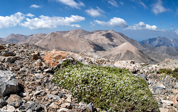 On the summit of Svourichti - click on the image to enlarge On the summit of Svourichti - click on the image to enlarge