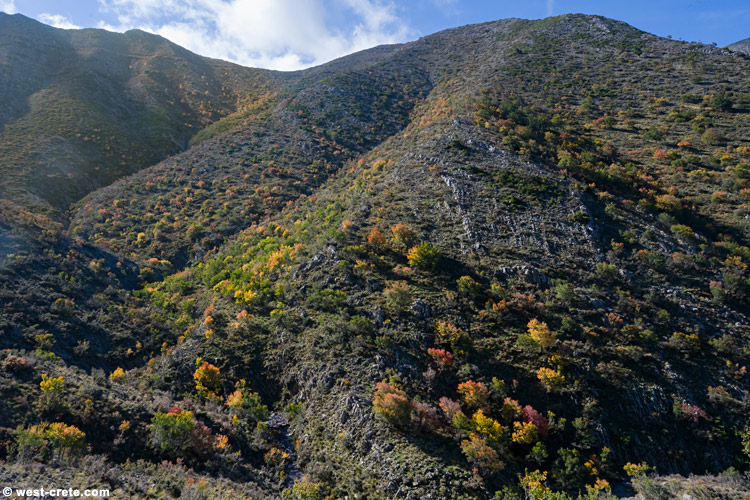 Autumn in the hills - click on the image to enlarge Autumn in the hills
- click on the image to enlarge