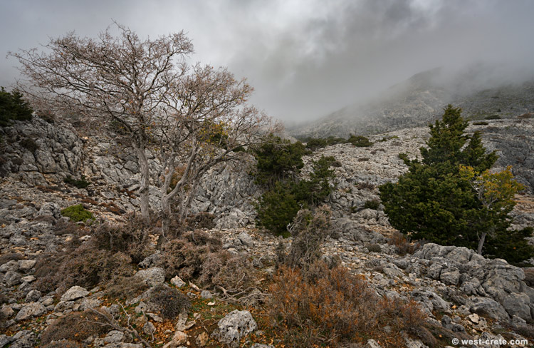 Autumn in the hills - click on the image to enlarge Autumn in the hills
- click on the image to enlarge