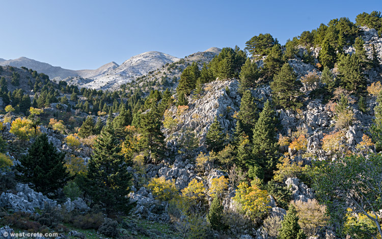 Autumn in the hills - click on the image to enlarge Autumn in the hills
- click on the image to enlarge