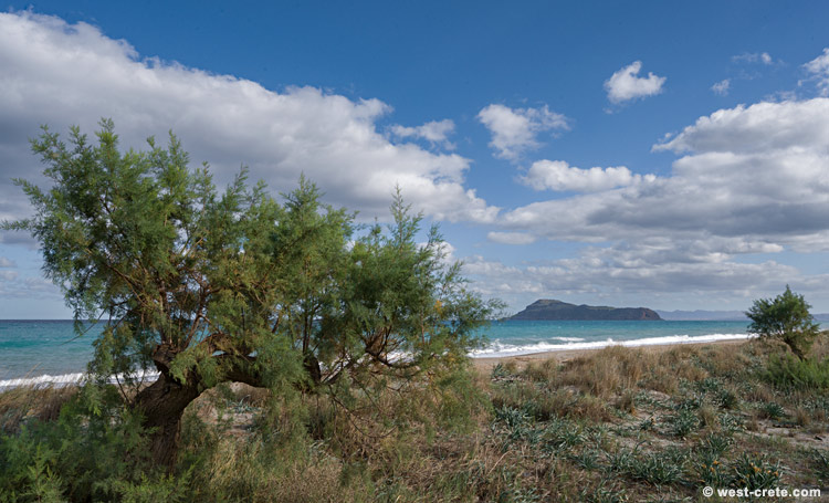Gerani beach - click on the image to enlarge Gerani beach
- click on the image to enlarge