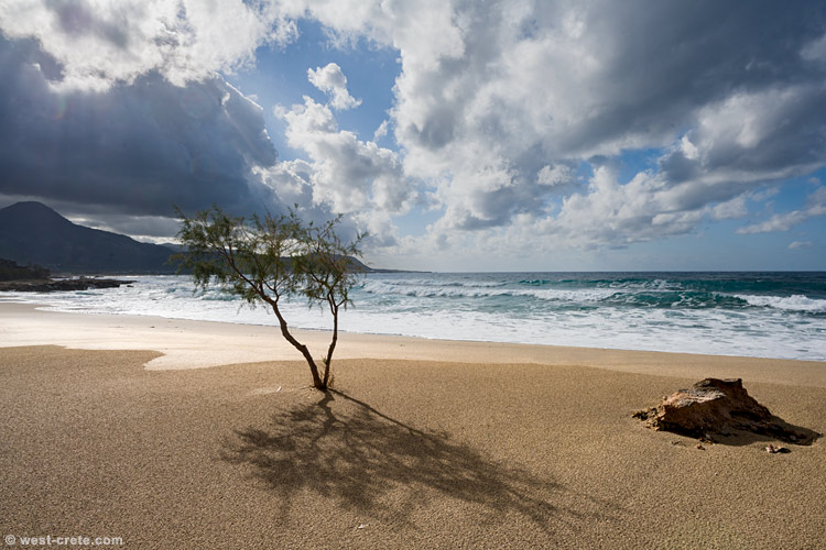 Falasarna beach - click on the image to enlarge Falasarna beach
- click on the image to enlarge