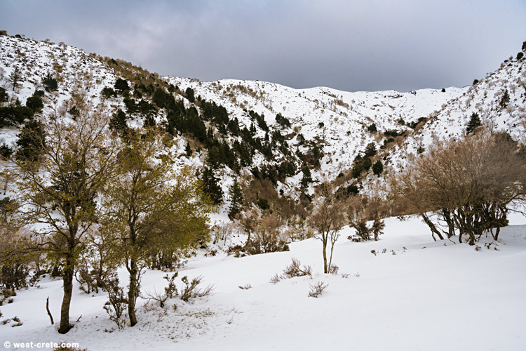 In a valley near Omalos - click on the image to enlarge In a valley near Omalos
- click on the image to enlarge