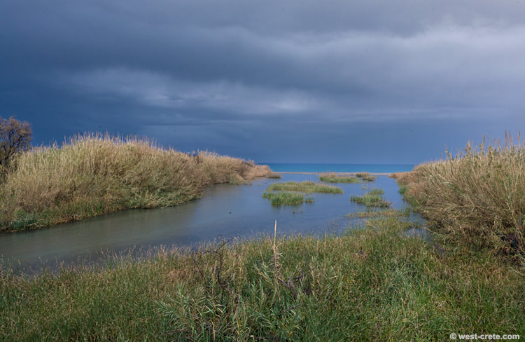 Where the river meets the sea - click on the image to enlarge Where the river meets the sea
- click on the image to enlarge