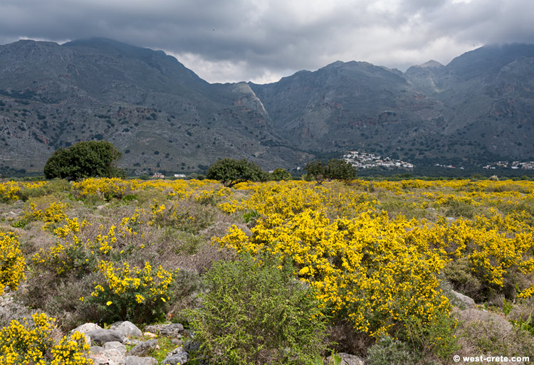 Spring in Frangokastello - click on the image to enlarge Spring in Frangokastello -
- click on the image to enlarge