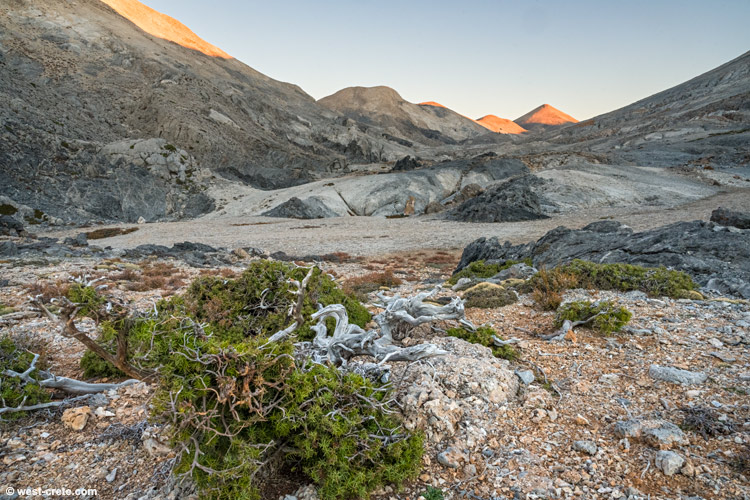 Amoutsera valley at sunrise - click on the image to enlarge Amoutsera valley at sunrise
- click on the image to enlarge