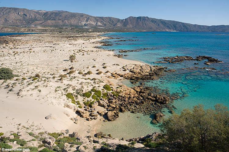 Elafonisi - click on the image to enlarge Elafonisi
- click on the image to enlarge