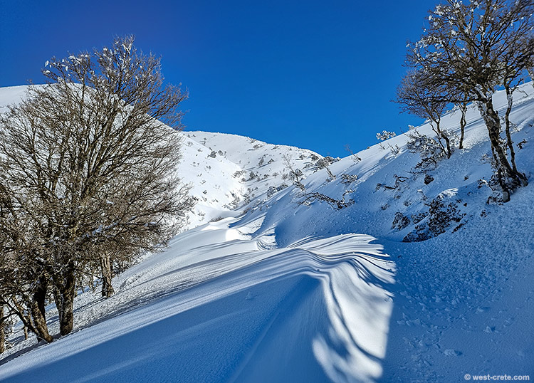 On the way to Kallergi - click on the image to enlarge On the way to Kallergi
- click on the image to enlarge