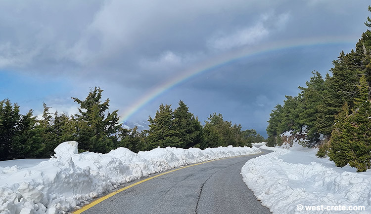 On the road near Omalos - click on the image to enlarge On the road near Omalos
- click on the image to enlarge