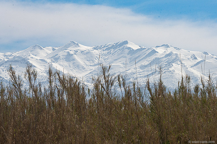View of the White Mountains from Gerani beach - click on the image to enlarge View of the White Mountains from Gerani beach
- click on the image to enlarge