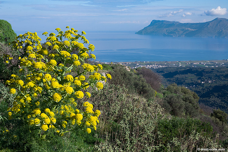 The Bay of Kissamos seen from Polyrinia - click on the image to enlarge The Bay of Kissamos seen from Polyrinia
- click on the image to enlarge
