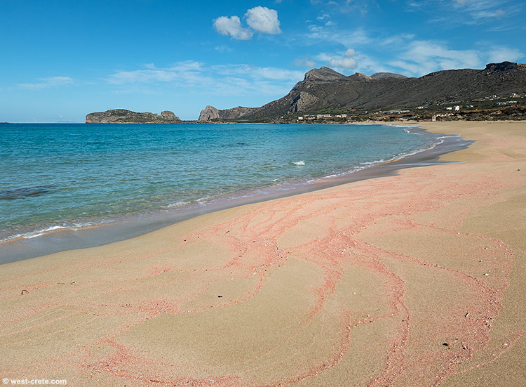 Pink sand on Falasarna beach - click on the image to enlarge Pink sand on Falasarna beach
- click on the image to enlarge