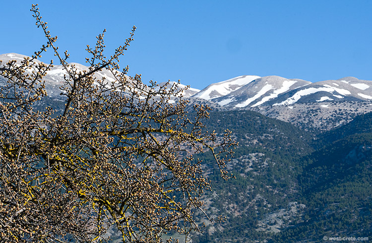 Spring time in Anopolis - click on the image to enlarge Spring time in Anopolis
- click on the image to enlarge