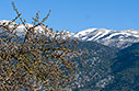 Spring time in Anopolis