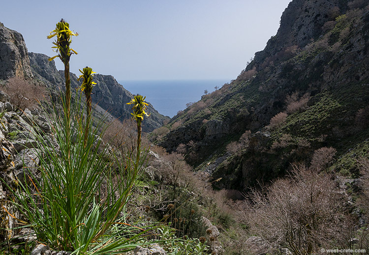 In the Asfendou gorge - click on the image to enlarge In the Asfendou gorge
- click on the image to enlarge