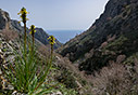 In the Asfendou gorge