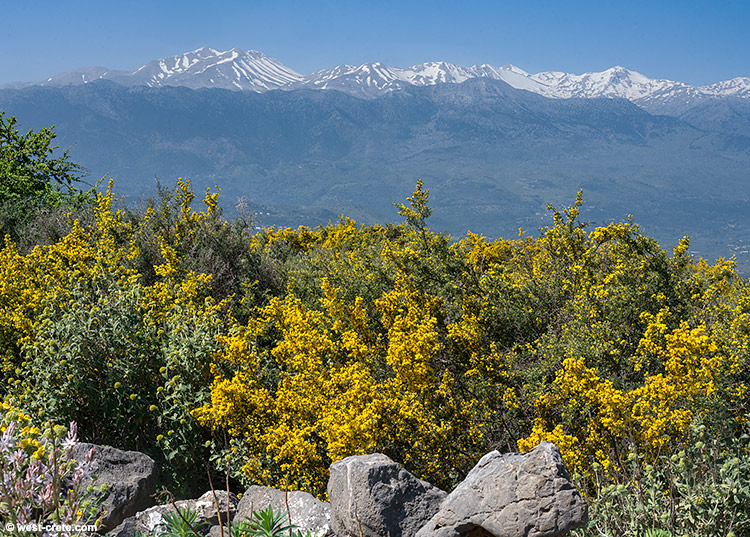 Spring in Apokorona - click on the image to enlarge Spring in Apokorona
- click on the image to enlarge