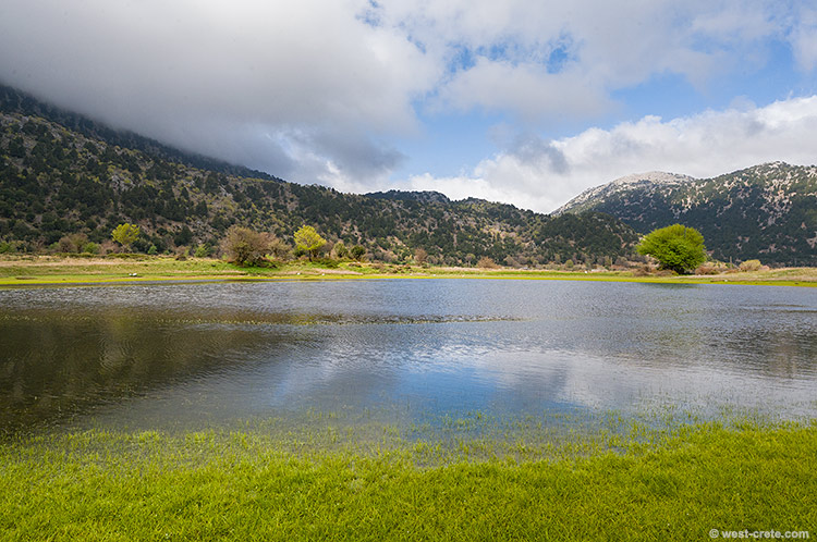 Mediterranean Temporary Pond in Omalos - click on the image to enlarge Mediterranean Temporary Pond in Omalos
- click on the image to enlarge