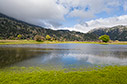 Mediterranean Temporary Pond in Omalos