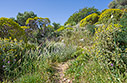 On the path to the acropolis of Polyrinia