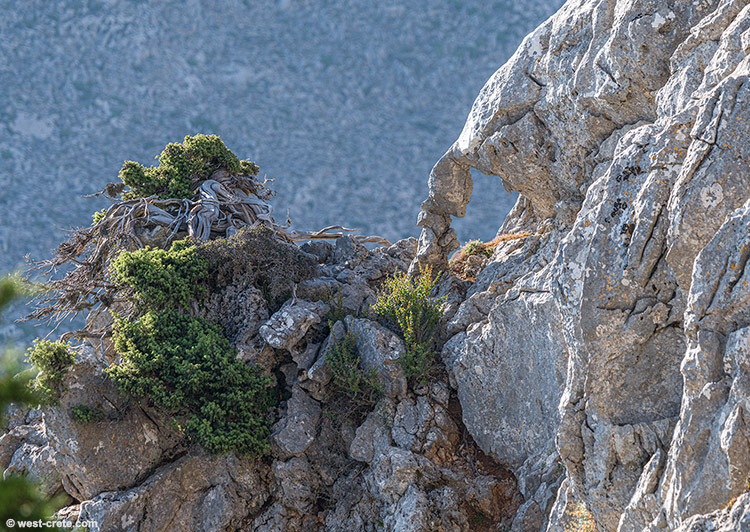 In the cliffs - click on the image to enlarge In the cliffs
- click on the image to enlarge