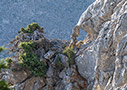 In the cliffs