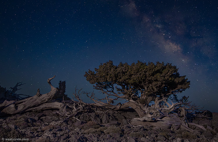Night in the mountains - click on the image to enlarge Night in the mountains
- click on the image to enlarge