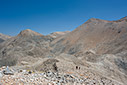 Walking in the High Desert 