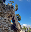 The Gigilos arch