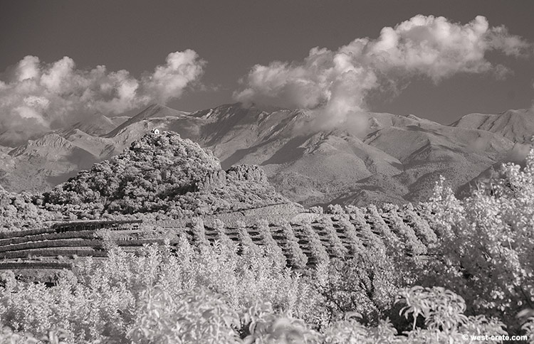 Infrared landscape - click on the image to enlarge Infrared landscape
- click on the image to enlarge